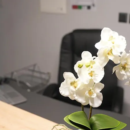 Prinz Apartamento Rijeka